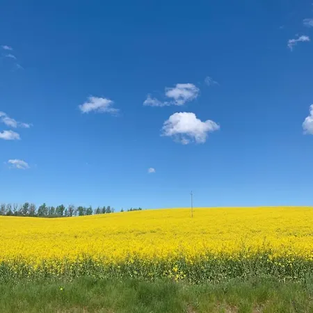 No. 2 Apartamento Łeba