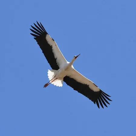 No. 2 Apartamento Łeba