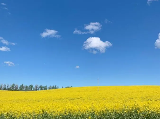 No. 2 Apartman Łeba